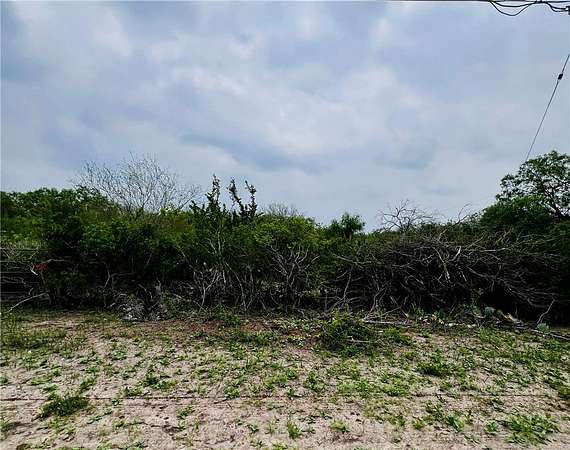 2.29 Acres of Residential Land for Sale in Orange Grove, Texas