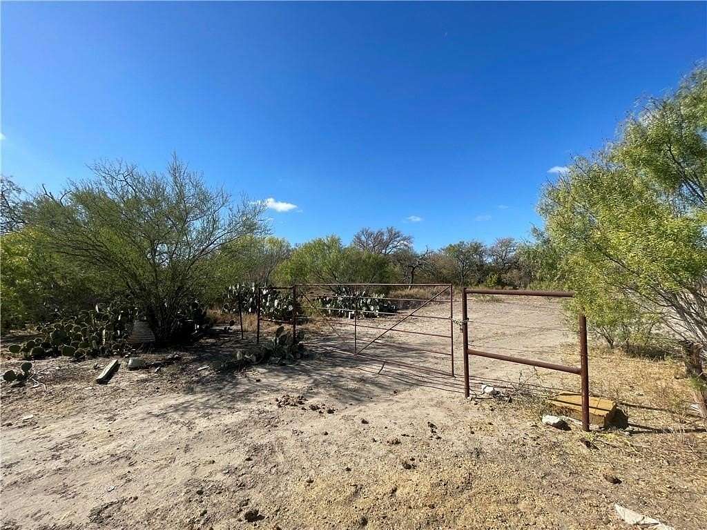 10 Acres of Land for Sale in Christine, Texas