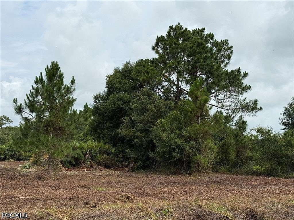 1.25 Acres of Land for Sale in Clewiston, Florida