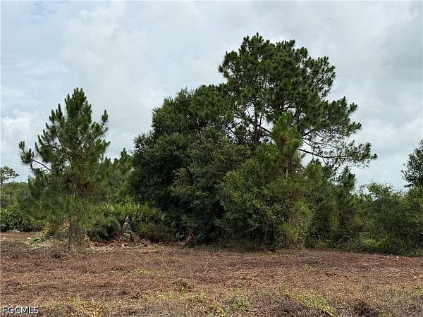 1.25 Acres of Land for Sale in Clewiston, Florida