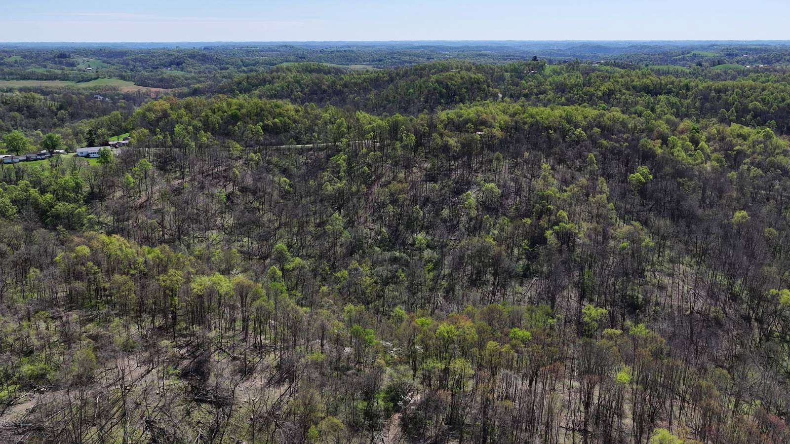 52 Acres of Recreational & Residential Land for Sale in Jacobsburg, Ohio