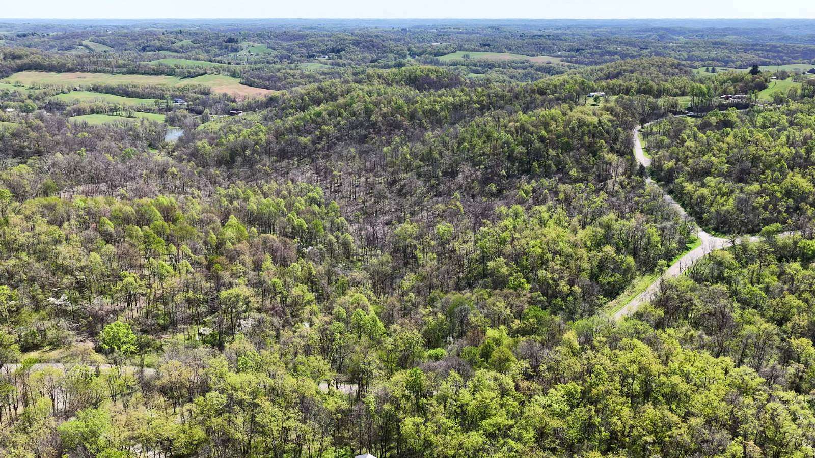 16 Acres of Recreational & Residential Land for Sale in Jacobsburg, Ohio