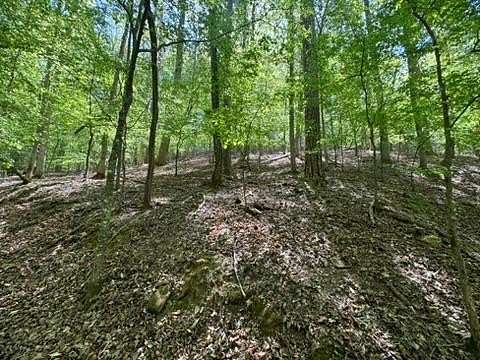 0.52 Acres of Residential Land for Sale in Ellijay, Georgia