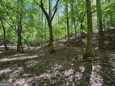 0.52 Acres of Residential Land for Sale in Ellijay, Georgia