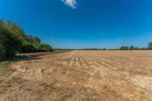 37.4 Acres of Agricultural Land for Sale in Florala, Alabama