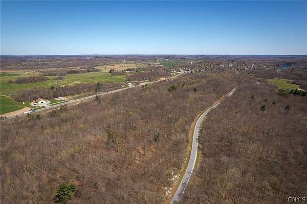 41.2 Acres of Land for Sale in Antwerp, New York