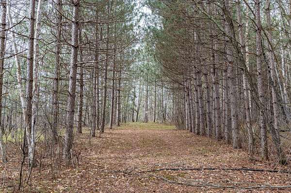 40 Acres of Recreational & Residential Land for Sale in Bruce, Wisconsin
