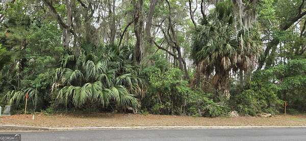 0.25 Acres of Residential Land for Sale in St. Marys, Georgia