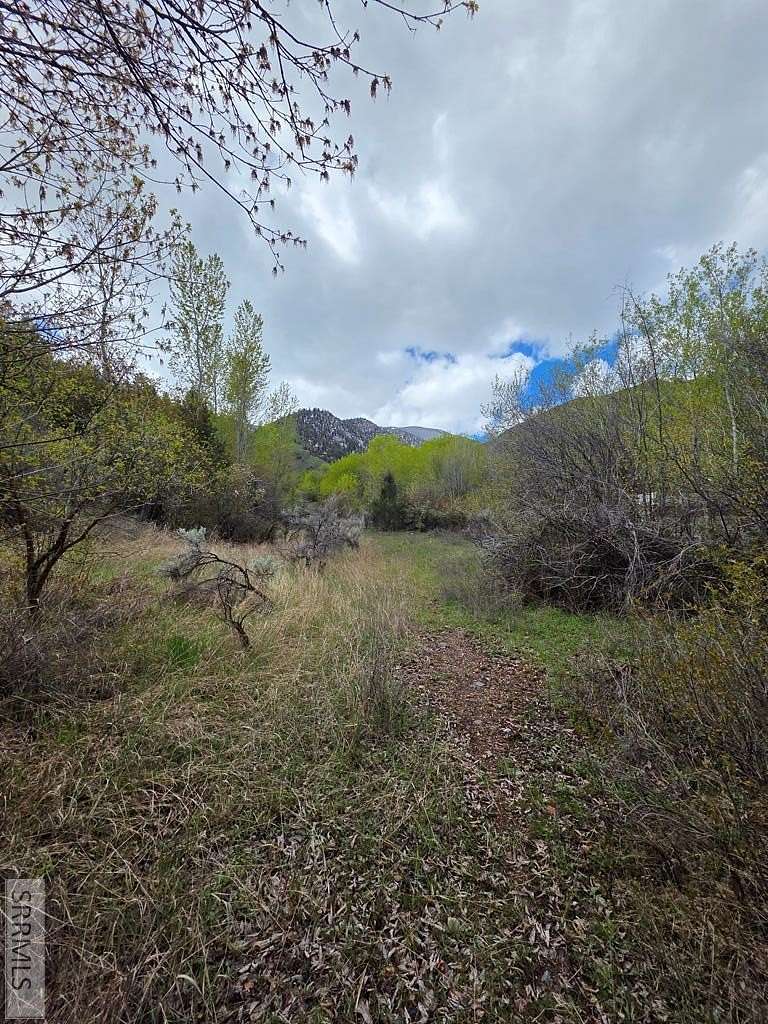 1.38 Acres of Residential Land for Sale in Salmon, Idaho