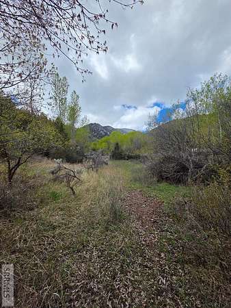 1.38 Acres of Residential Land for Sale in Salmon, Idaho