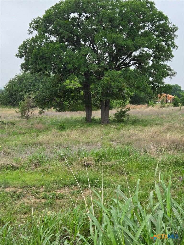 5 Acres of Residential Land for Sale in Oglesby, Texas
