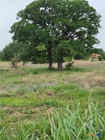 5 Acres of Residential Land for Sale in Oglesby, Texas