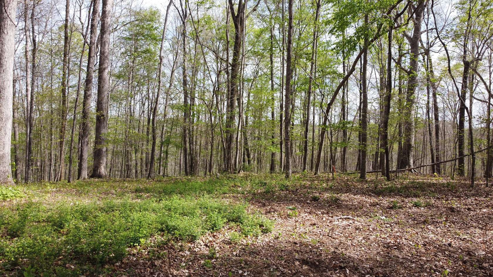 5.2 Acres of Residential Land for Sale in Sparta, Tennessee