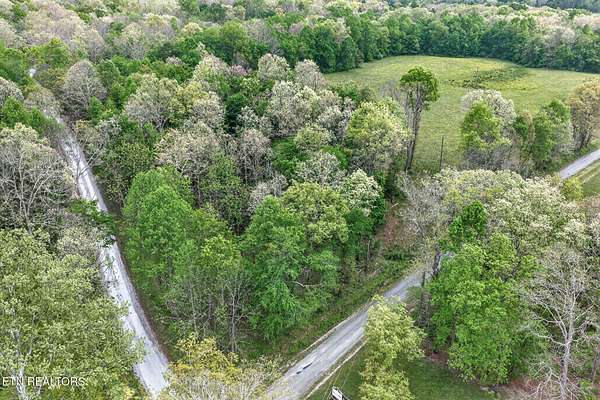 48.9 Acres of Agricultural & Residential Land for Sale in Allardt, Tennessee