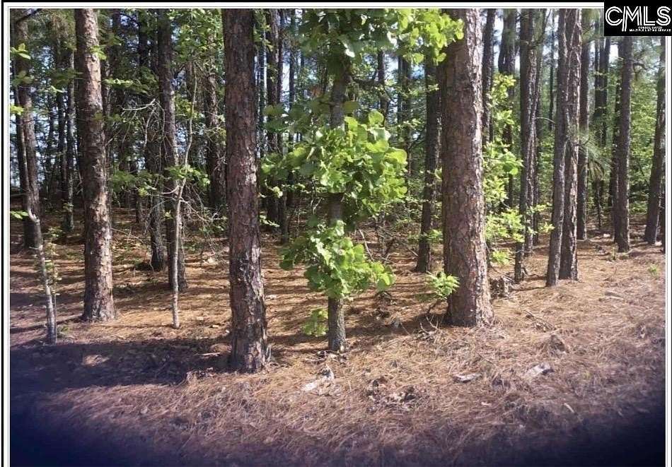 0.35 Acres of Residential Land for Sale in Columbia, South Carolina