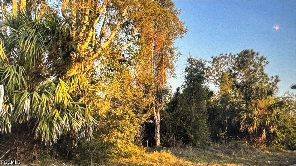 0.25 Acres of Residential Land for Sale in Lehigh Acres, Florida