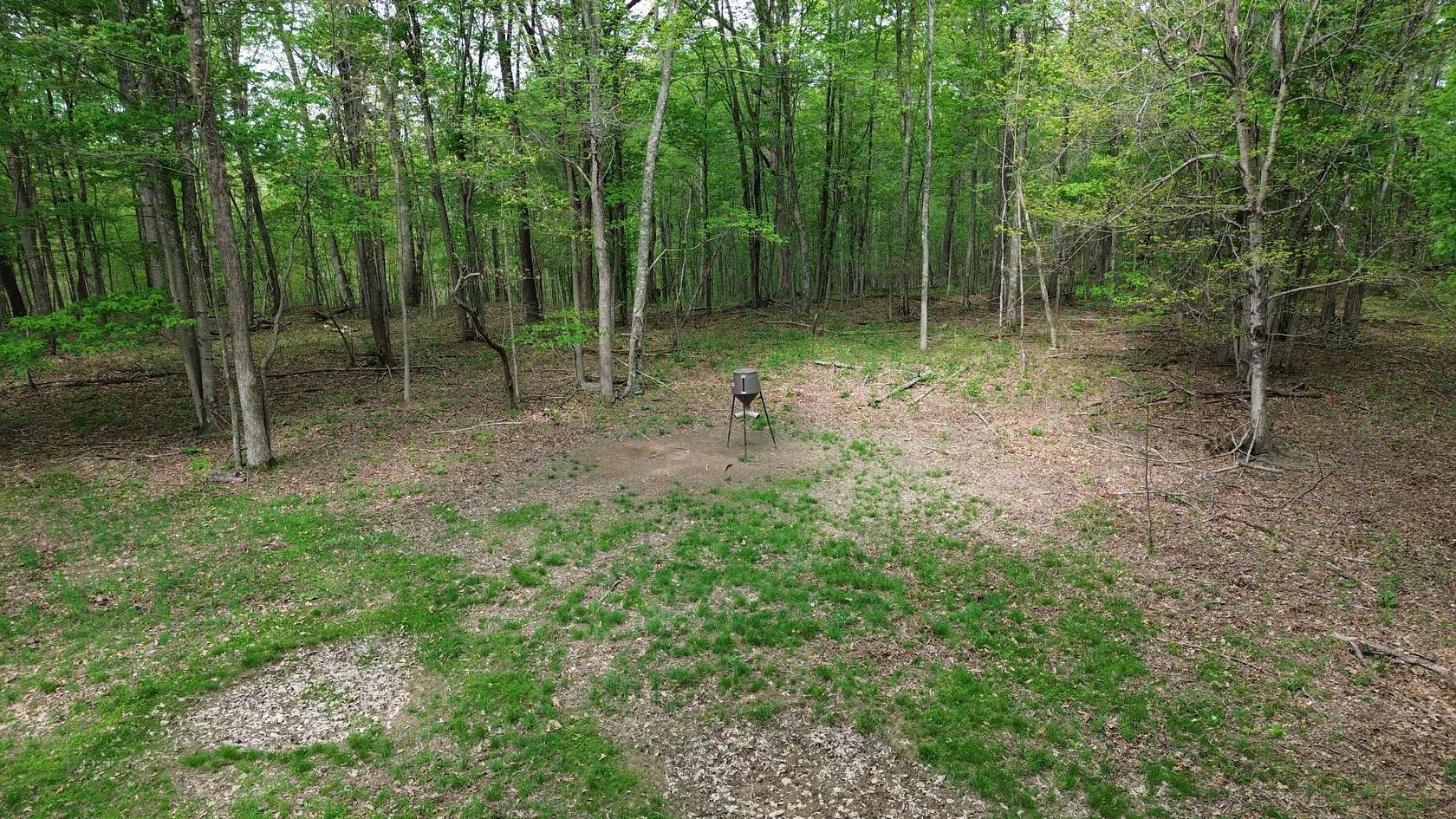 1,271 Acres of Land for Sale in Argillite, Kentucky