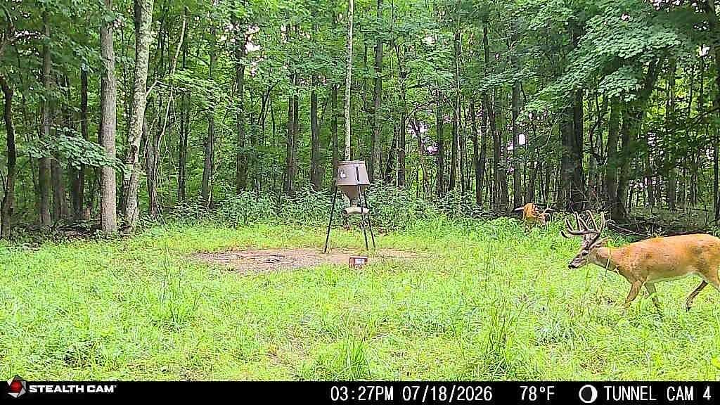 1,271 Acres of Land for Sale in Argillite, Kentucky