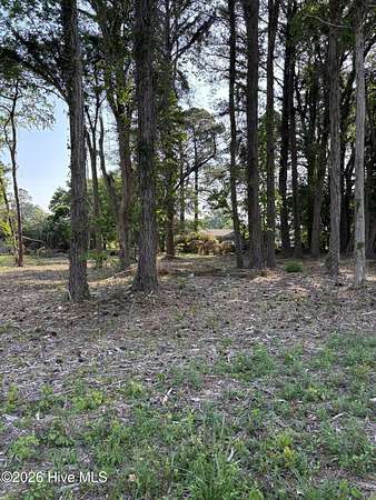 0.23 Acres of Residential Land for Sale in Washington, North Carolina