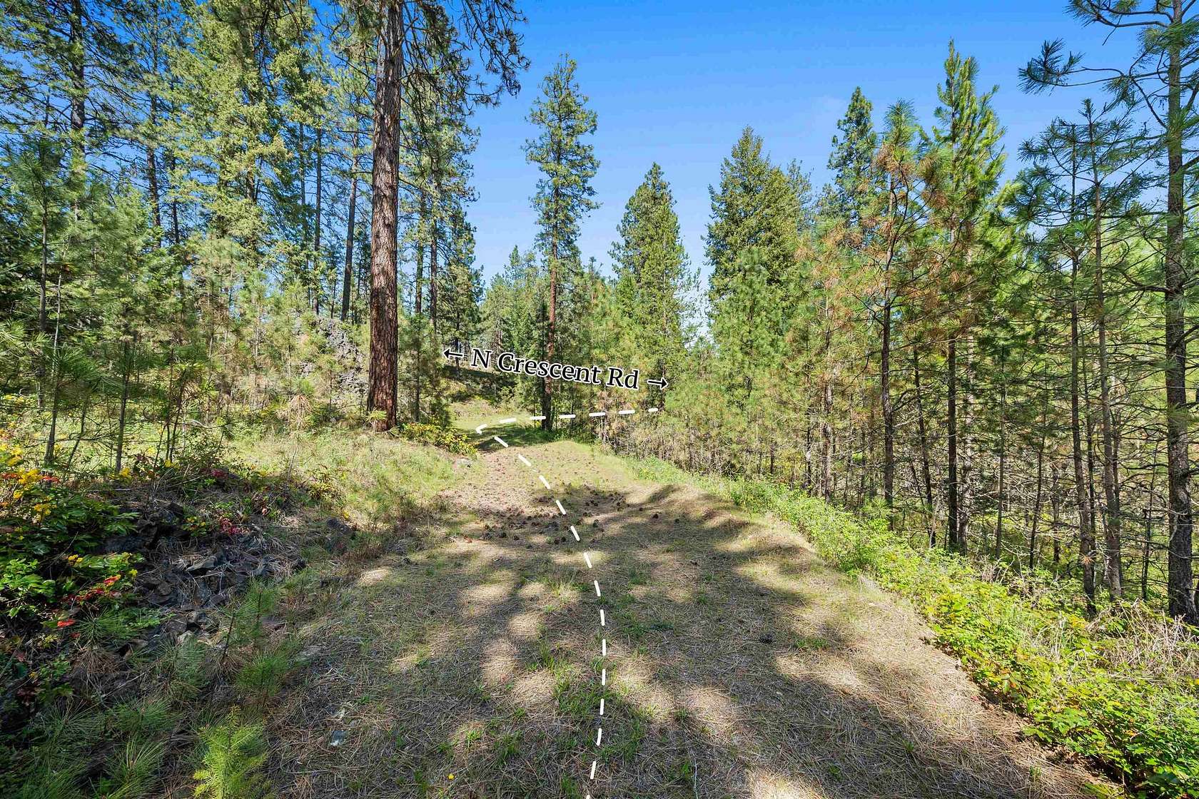 5 Acres of Residential Land for Sale in Colbert, Washington