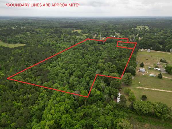23 Acres of Land for Sale in Bivins, Texas