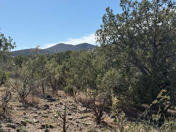 6.2 Acres of Land for Sale in Chino Valley, Arizona