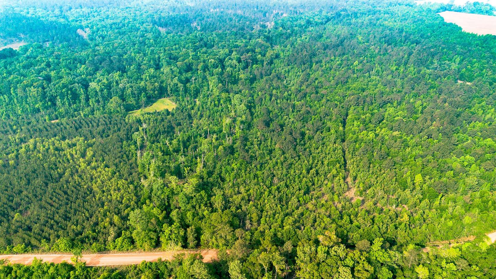 70.2 Acres of Land for Sale in Millen, Georgia