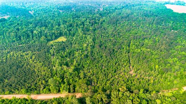 70.2 Acres of Land for Sale in Millen, Georgia