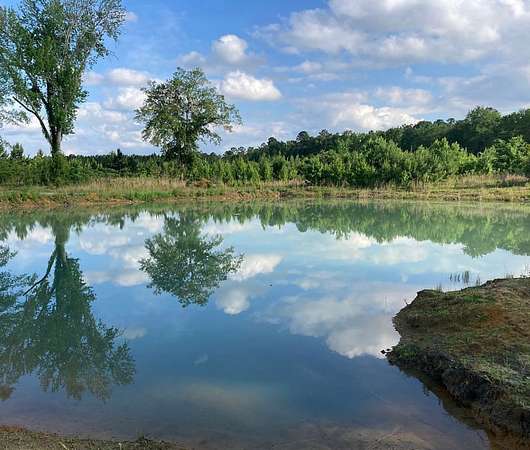 123 Acres of Land for Sale in Aiken, South Carolina