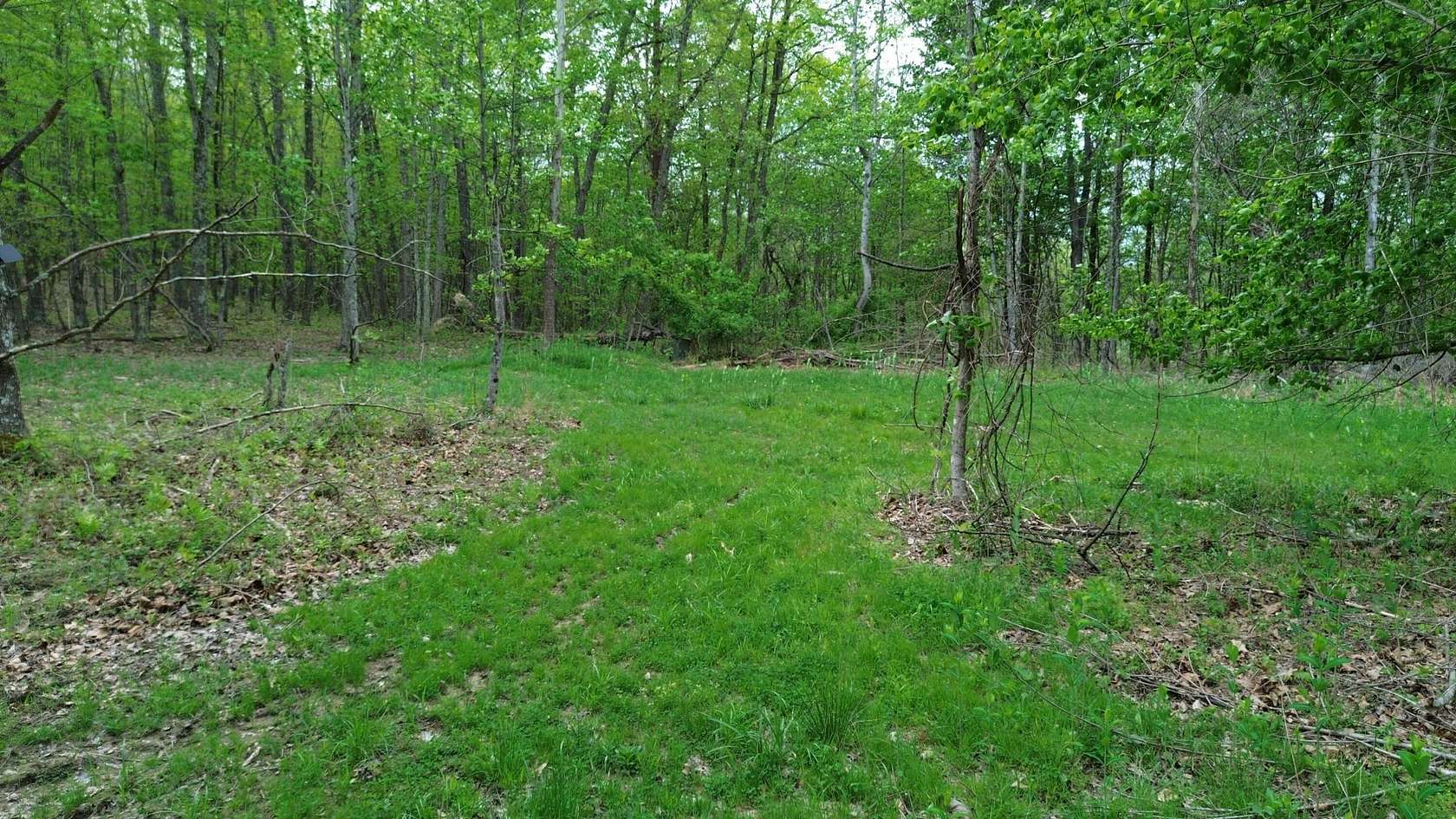 566 Acres of Land for Sale in Argillite, Kentucky
