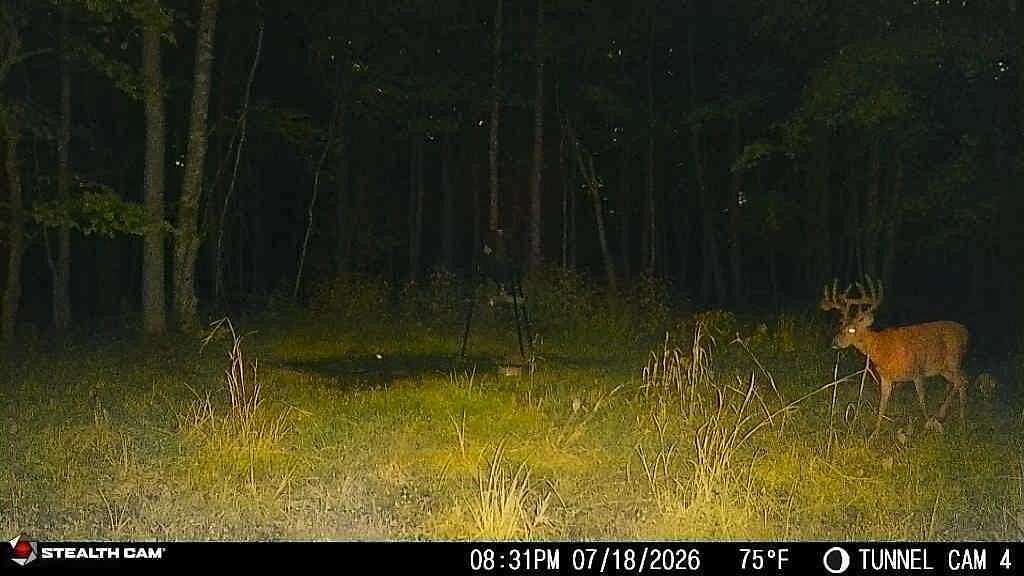 566 Acres of Land for Sale in Argillite, Kentucky