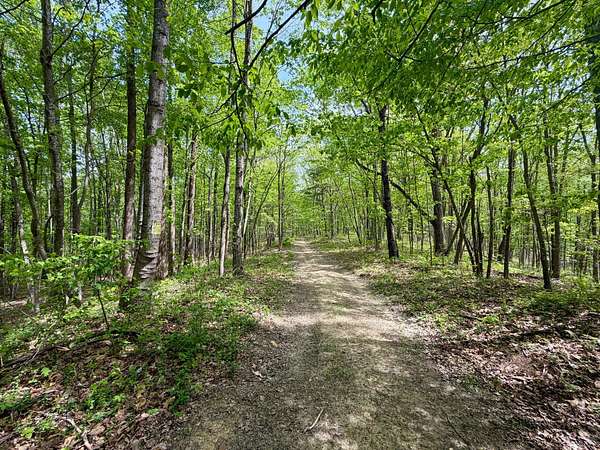 566 Acres of Land for Sale in Argillite, Kentucky