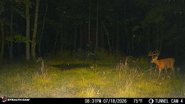 566 Acres of Land for Sale in Argillite, Kentucky