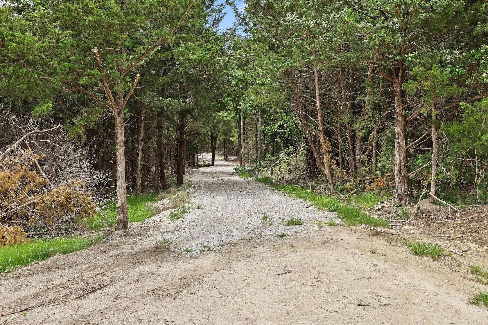 13.3 Acres of Agricultural Land for Sale in Trenton, Texas