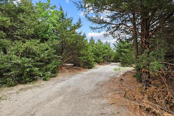 13.3 Acres of Agricultural Land for Sale in Trenton, Texas