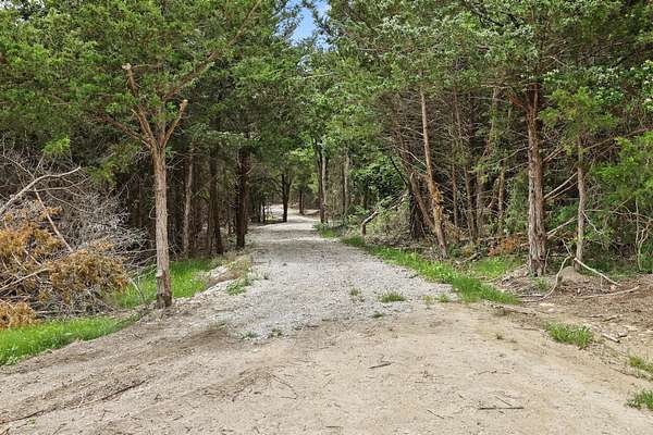 13.3 Acres of Agricultural Land for Sale in Trenton, Texas
