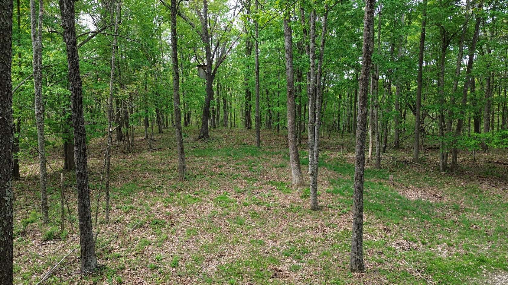 694 Acres of Land for Sale in Argillite, Kentucky