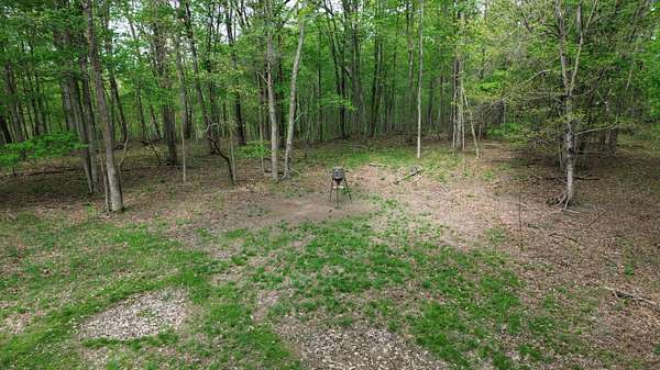 694 Acres of Land for Sale in Argillite, Kentucky