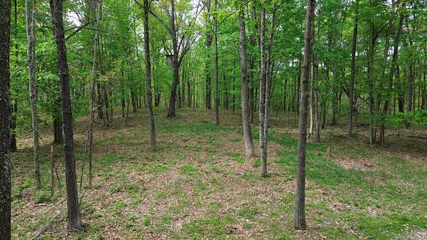 694 Acres of Land for Sale in Argillite, Kentucky