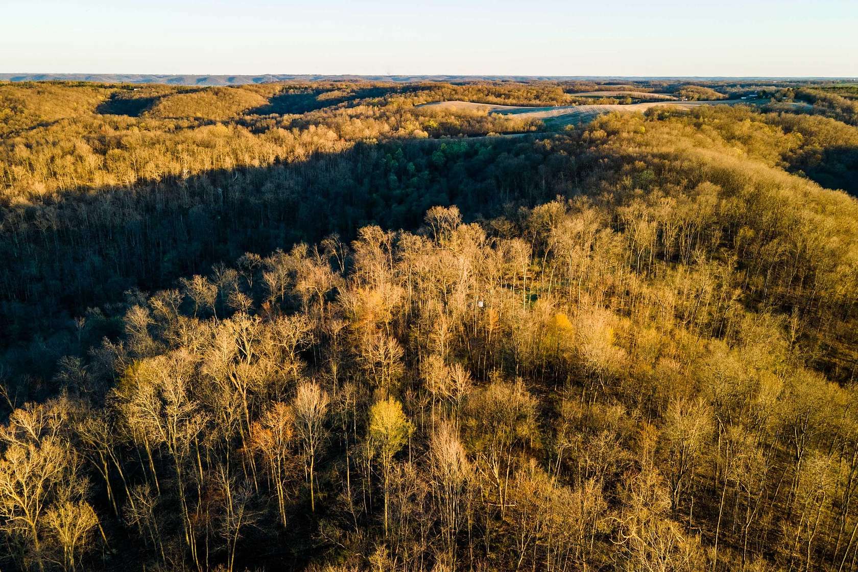 65.8 Acres of Recreational & Residential Land for Sale in Blue River, Wisconsin