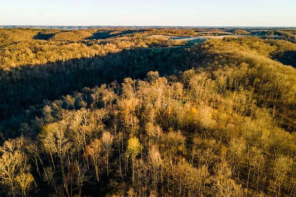 65.8 Acres of Recreational & Residential Land for Sale in Blue River, Wisconsin