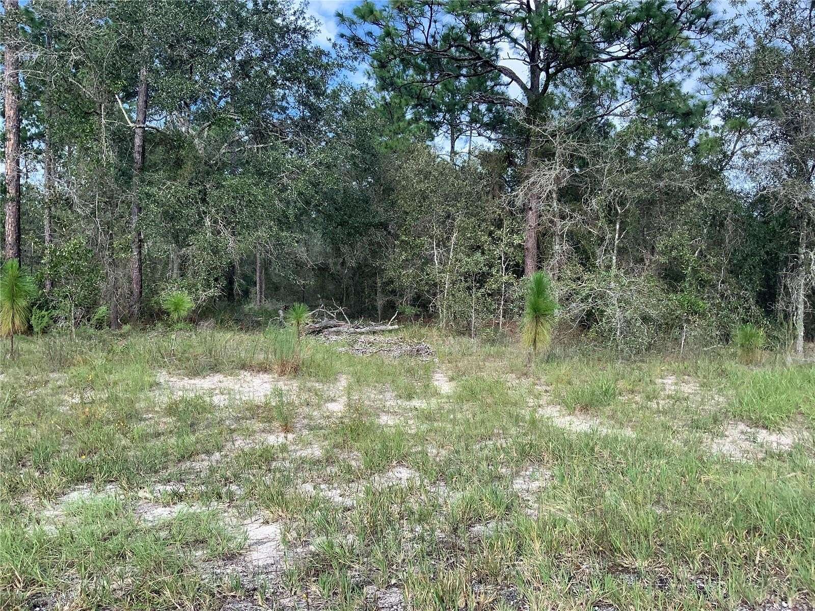 9 Acres of Land for Sale in Morriston, Florida