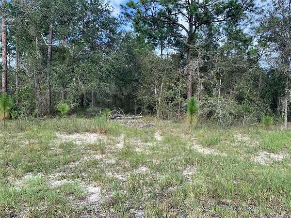 9 Acres of Land for Sale in Morriston, Florida