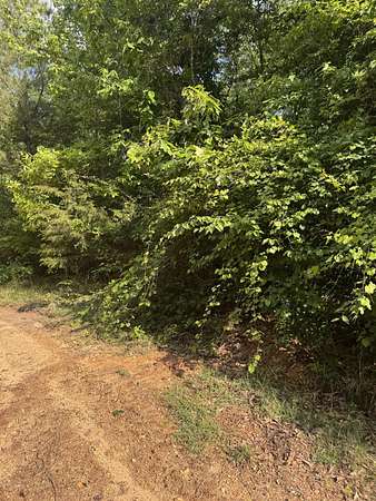 19.9 Acres of Recreational & Residential Land for Sale in Magee, Mississippi