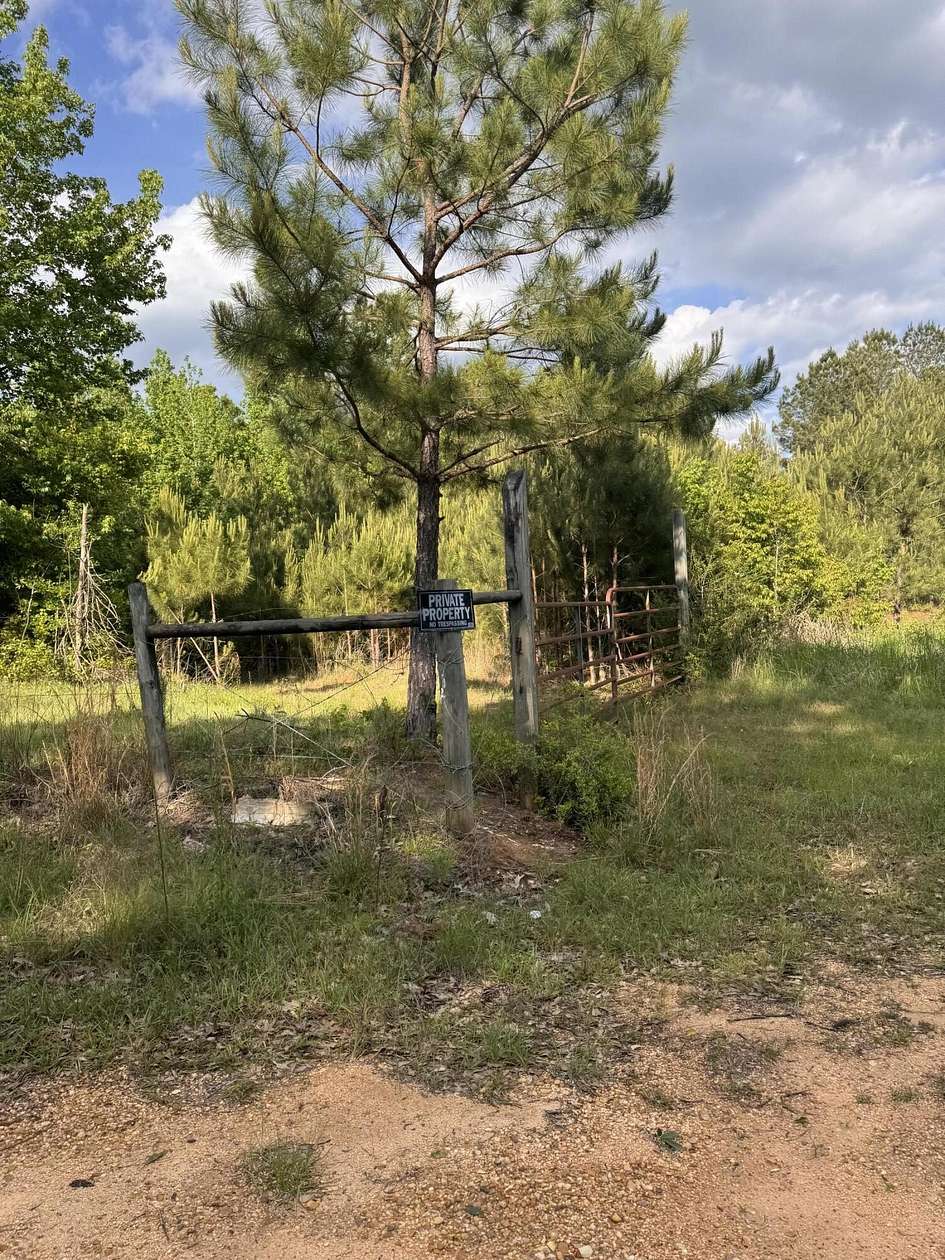 23 Acres of Recreational & Residential Land for Sale in Magee, Mississippi