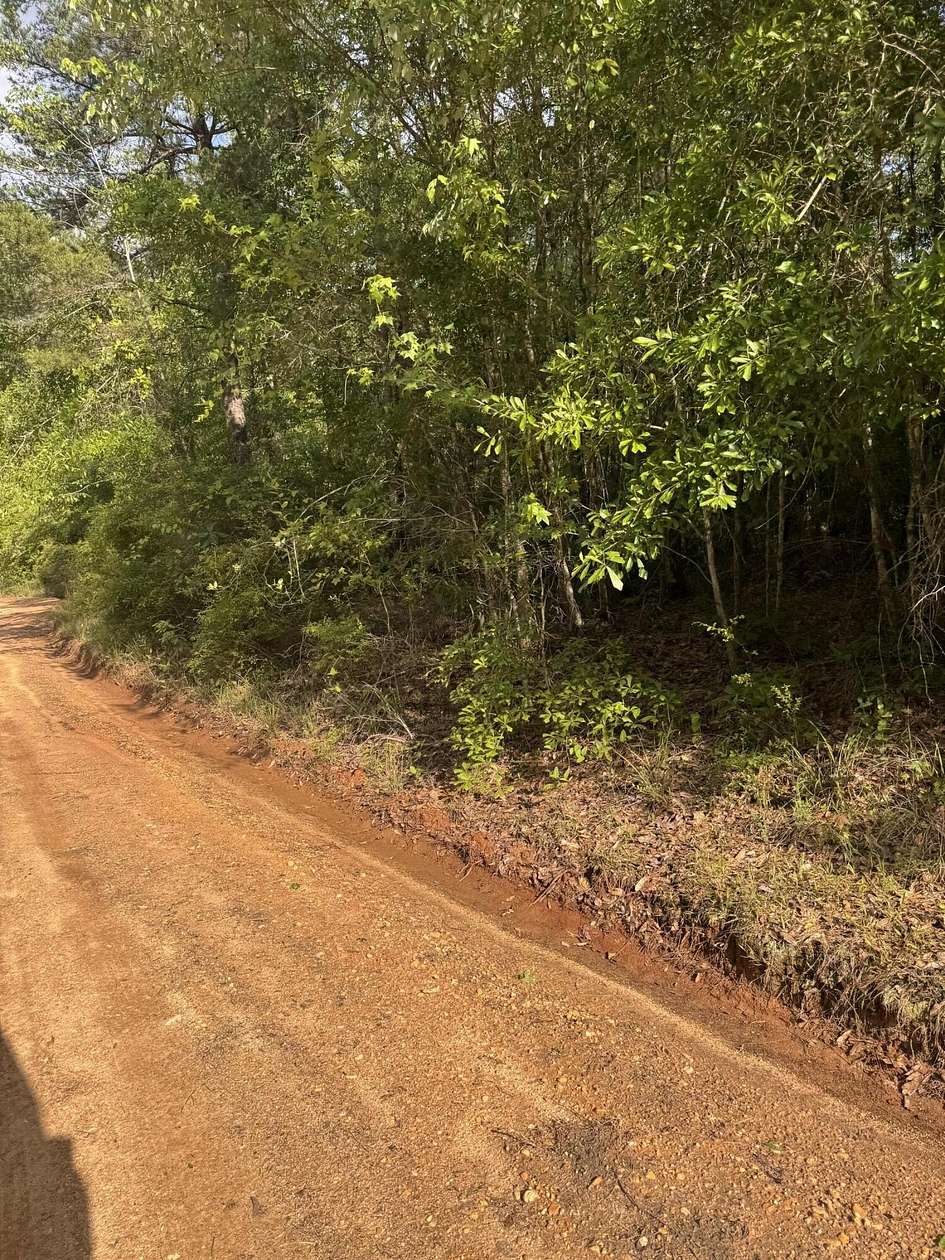 23 Acres of Recreational & Residential Land for Sale in Magee, Mississippi