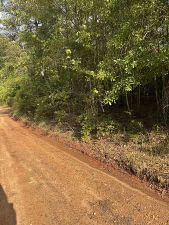 23 Acres of Recreational & Residential Land for Sale in Magee, Mississippi