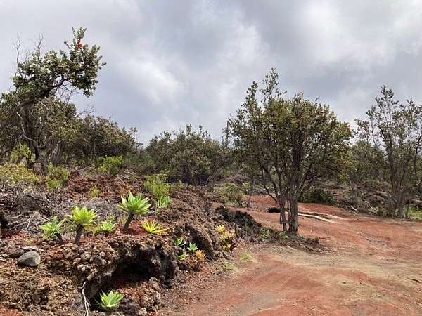 2 Acres of Land for Sale in Hawaiian Ocean View, Hawaii