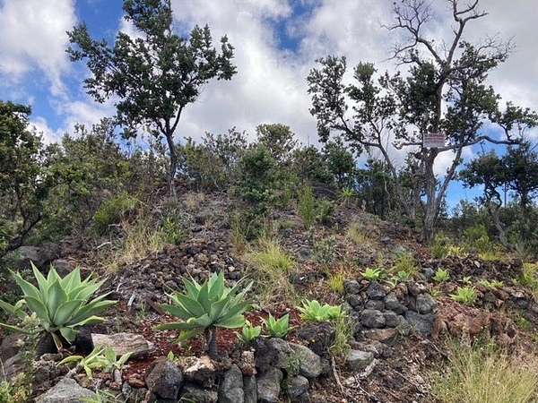 2 Acres of Land for Sale in Hawaiian Ocean View, Hawaii