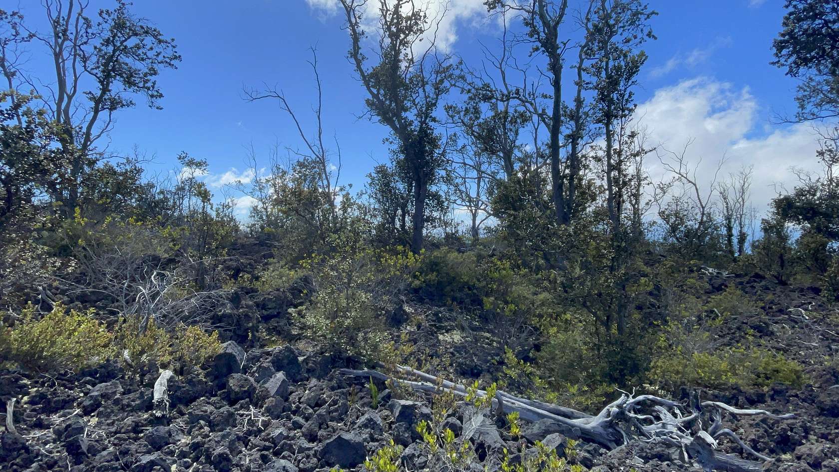 1 Acre of Residential Land for Sale in Hawaiian Ocean View, Hawaii